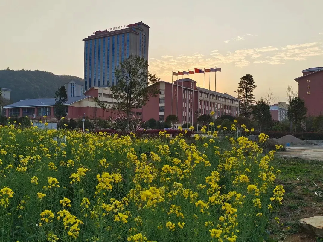 8.jpg 图片