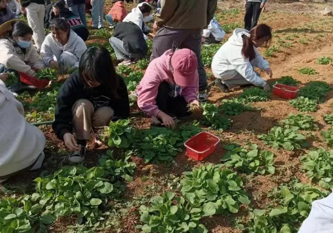 3.jpg 图片