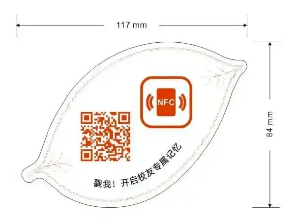 2.webp