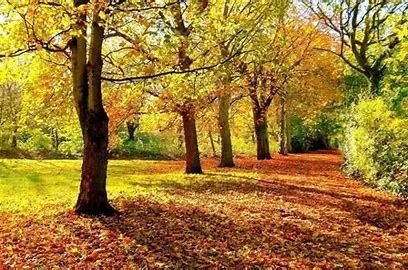 ManHuiDiErJieZiYouHuiHuaBiSai.width-800 