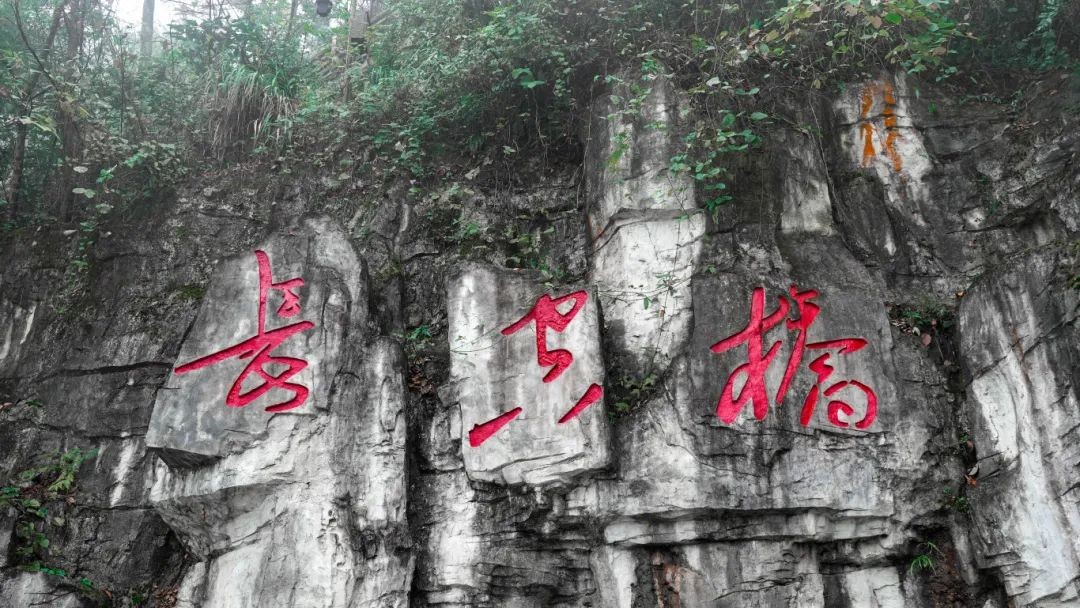 图片10.png